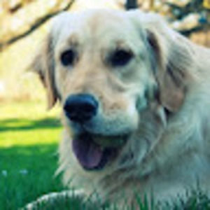 Meet your Posher, Johanna